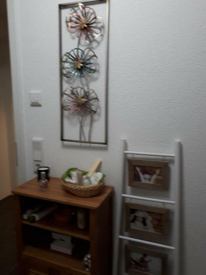 Apartmán Bad Saeckingen - Sie Werden Sich Hier Wohl Fuehlen Exteriér fotografie